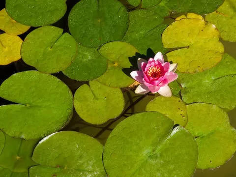 平台安全吗
